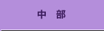 中部